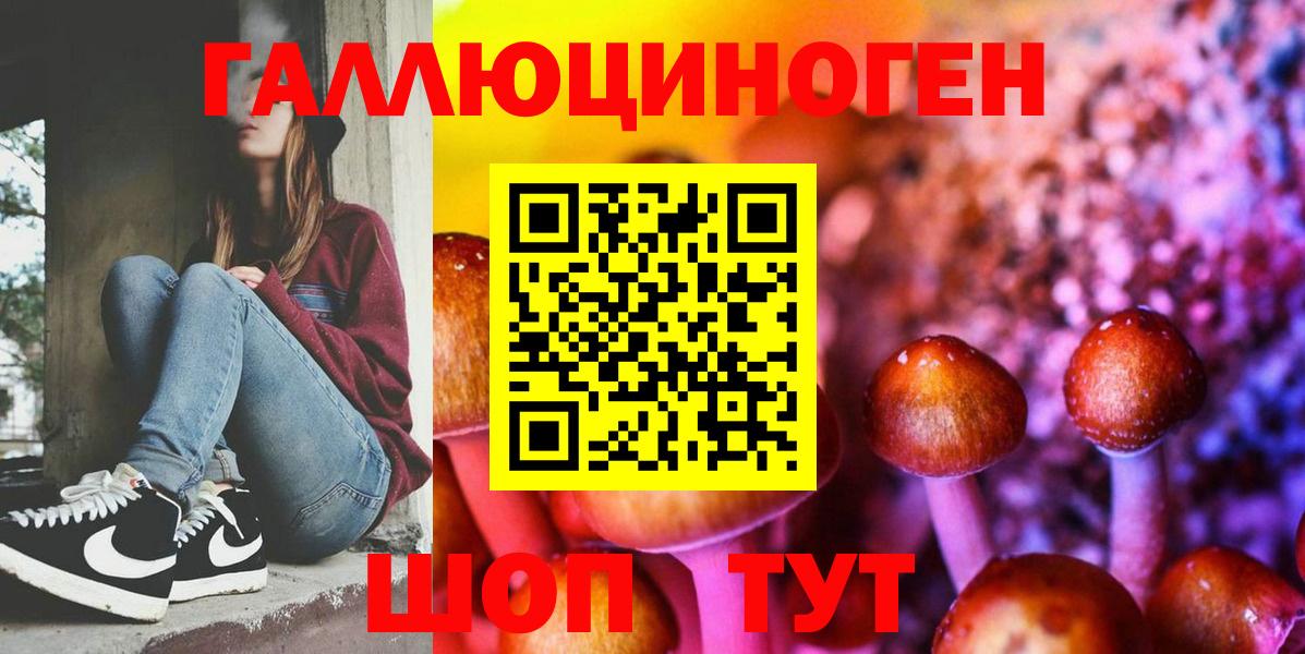 Галлюциногенные грибы Cubensis Тимашёвск